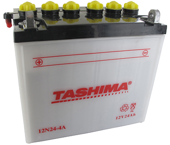 Batterijen en accu's 12N244A