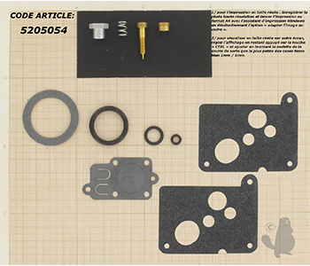 Reparatiesets carburatoren 4 takt 5205054