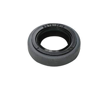 Engine seals 5409704