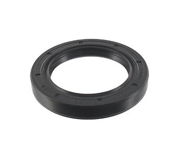 Engine seals 5409788