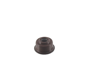 Engine seals 5409789