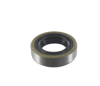 Engine seals 5409794
