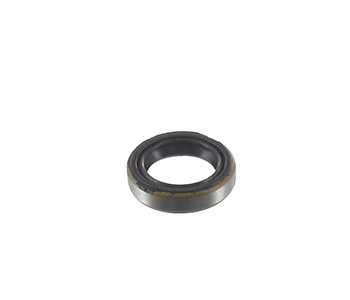 Engine seals 5409795
