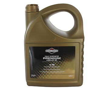 Briggs & stratton BS100009S