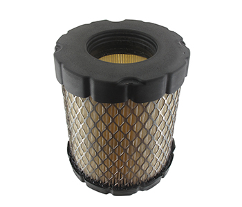 Briggs & stratton BS4250