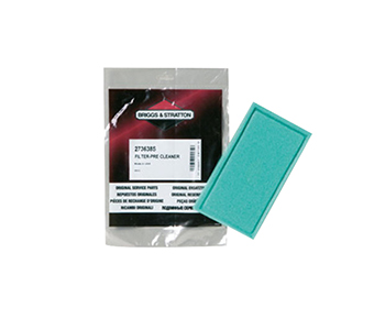 Briggs & stratton BS4256