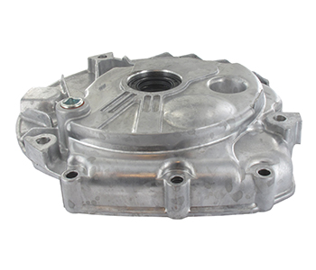 Briggs & stratton BS493279