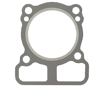 Briggs & stratton BS793455