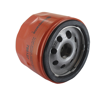 Briggs & stratton BS798576