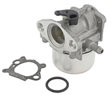 Briggs & stratton BS799868