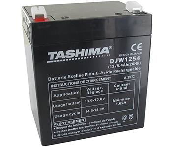 Batteries DJW1254