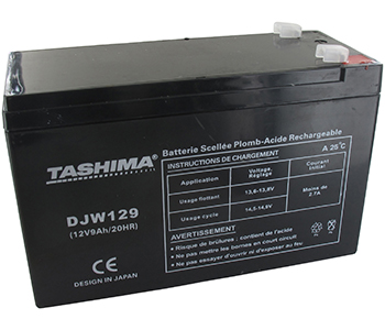Batteries DJW129