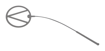 Echo A365000060