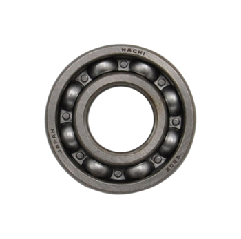 Echo V592000290