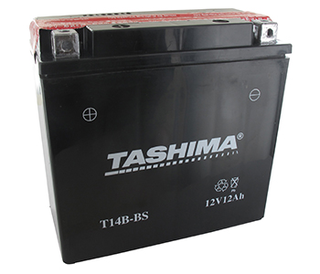 Batteries et piles FT14BBS