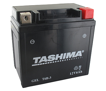 Batteries et piles FT6B3