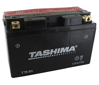 Batteries et piles FT7BBS