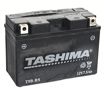 Batteries et piles FT9BBS