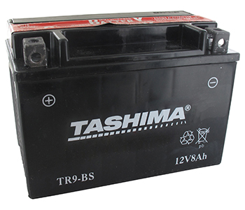 Batteries et piles FTR9BS