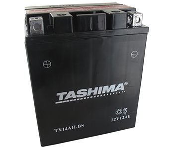 Batteries et piles FTX14AHBS