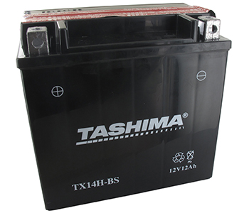 Batteries et piles FTX14HBS