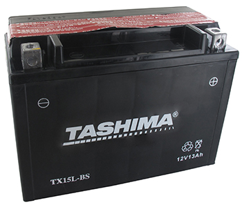 Batteries et piles FTX15LBS