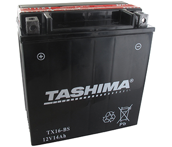 Batteries et piles FTX16BS