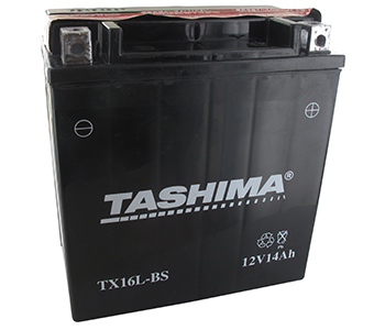 Batteries et piles FTX16LBS