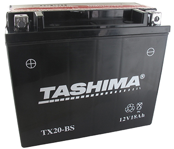 Batteries et piles FTX20BS