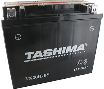 Batteries et piles FTX20HBS