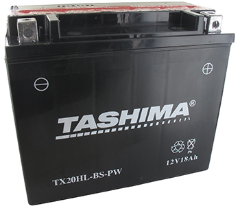 Batteries et piles FTX20HLBSPW