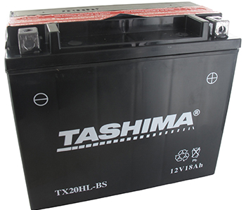 Batteries et piles FTX20HLBS