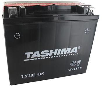 Batteries et piles FTX20LBS