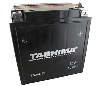 Batteries et piles FTX30LBS