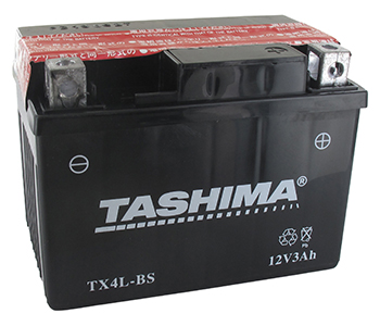 Batteries et piles FTX4LBS