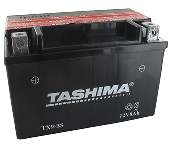 Batteries et piles FTX9BS