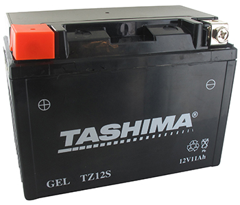 Batteries et piles FTZ12S