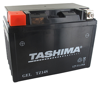 Batteries et piles FTZ14S