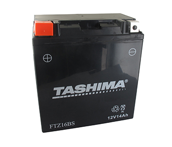 Batteries et piles FTZ16BS