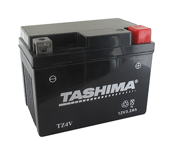 Batteries et piles FTZ4V