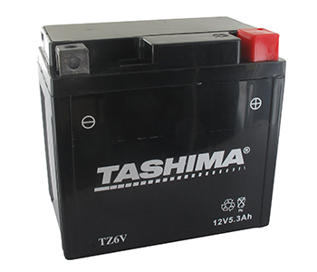 Batteries et piles FTZ6V