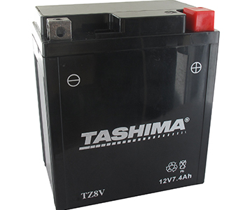 Batteries et piles FTZ8V