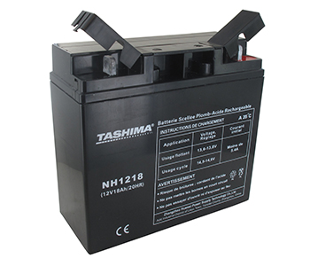 Batteries et piles NH1218