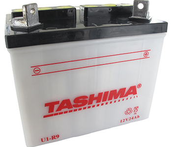 Batteries et piles U1R9