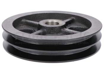 Anova BIO300-004