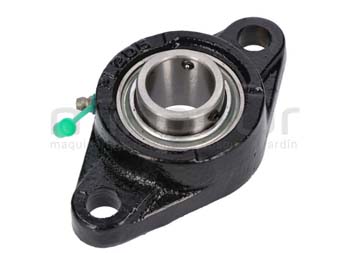 Anova BIO300-034