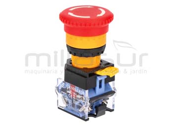 Anova BIO300-038