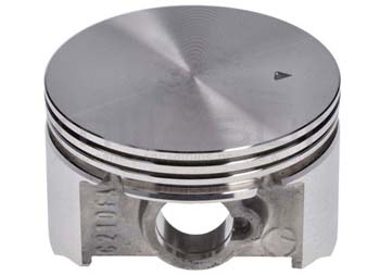 Anova MA212-010