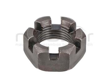 Anova RLT22GVH-039