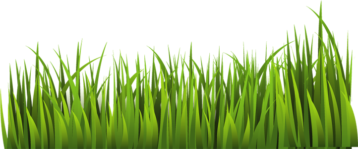 Gewoon en fijn gras